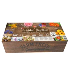 Starterset - Eetbare Bloemen Kweken