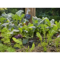 Gardena Smart Sensor Control Set -Gardena Verkoopwinkel 123 1527