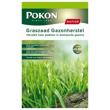 Pokon Graszaad Gazonherstel Rapide 1kg 1 Pokon Graszaad Gazonherstel Rapide 1kg