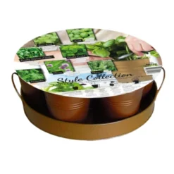 Kruidencollectie Op Dienblad