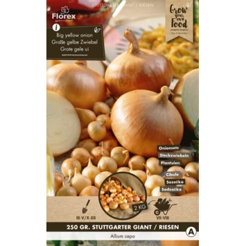 Plantuien & Knoflookpakket 4 Plantuien & Knoflookpakket - Afbeelding 4