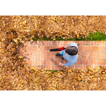 SKIL 40V Bladblazer 0380CA Brushless (zonder Accu) 2 SKIL 40V Bladblazer 0380CA Brushless (zonder Accu) - Afbeelding 2