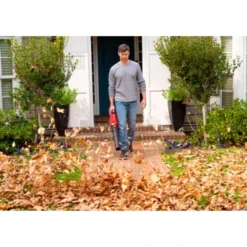 SKIL 40V Bladblazer 0380CA Brushless (zonder Accu) 9 SKIL 40V Bladblazer 0380CA Brushless (zonder Accu) -Gardena Verkoopwinkel 123 2778